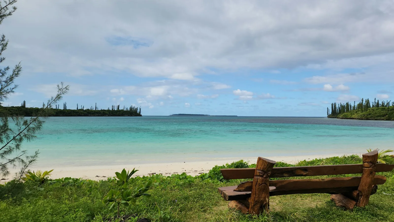 Vue sur l'océan et la côte depuis les hauteurs, paysage tropical